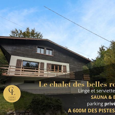 Chalet Des Belles Roches, 14 Pers, Garden, Sauna La Bresse Dış mekan fotoğraf